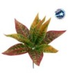 GloboStar® RED AGLAONEMA 78275 Τεχνητό Φυτό Αγλαόνημα Κοκκ. - Μπουκέτο Διακοσμητικών Φυτών - Κλαδιών με Φύλλωμα Πράσινο - Πορτοκαλί - Κόκκινο Υ27cm